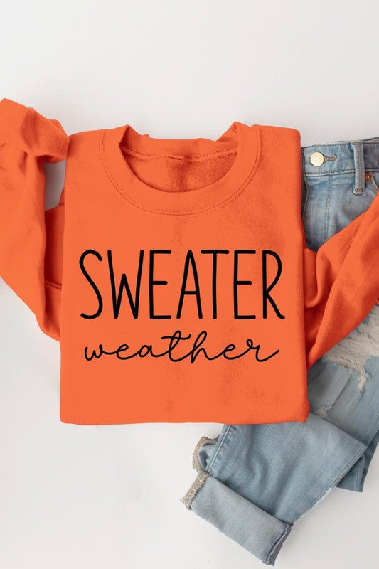 Sweater Weather Graphic Fleece Sweatshirts